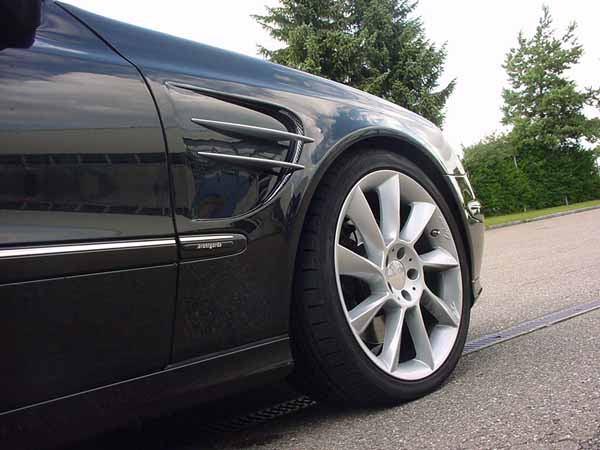 E-Klasse W210, S211 Sport Kotfl&uuml;gel  G&ouml;ckel