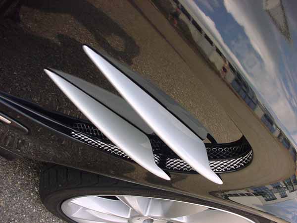 E-Klasse W210, S211 Sport Kotfl&uuml;gel  G&ouml;ckel
