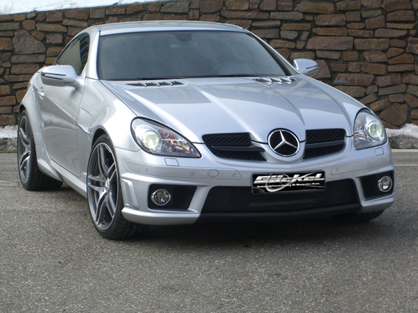 spoiler sto&szlig;stange AMG 55