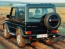 https://gwtec.de/shop/images/product_images/thumbnail_images/Hardtop%20G%20T4.jpeg